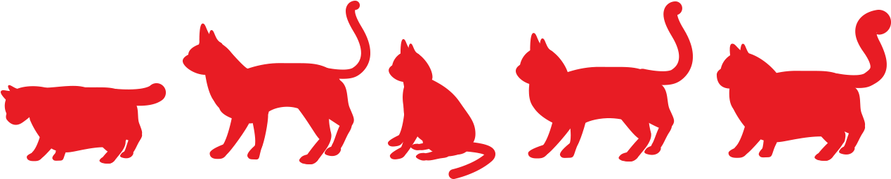 Вибір породи кота