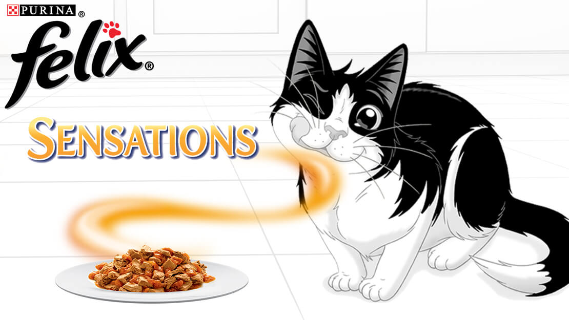Сторінка корму для котів Felix Sensations