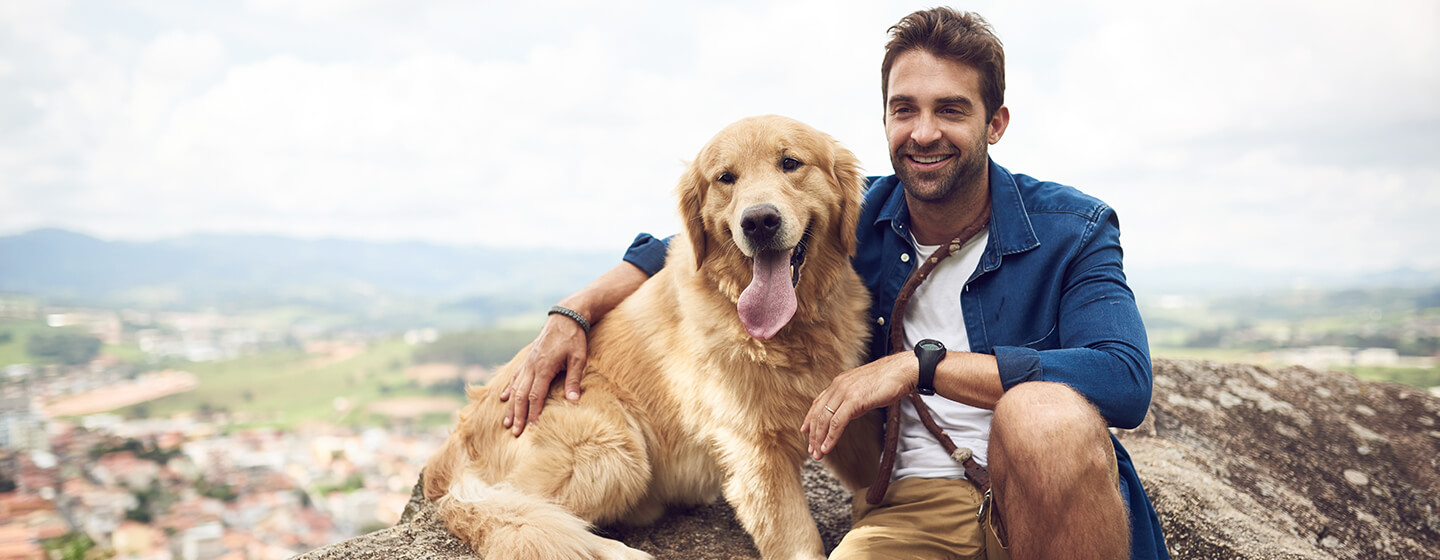 Dog sitting on mountain with man