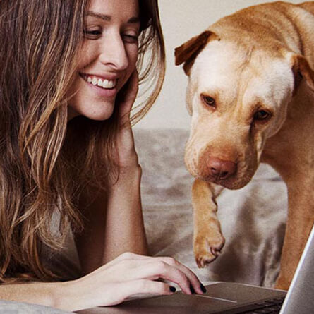 Жінка та собака дивляться в комп'ютер