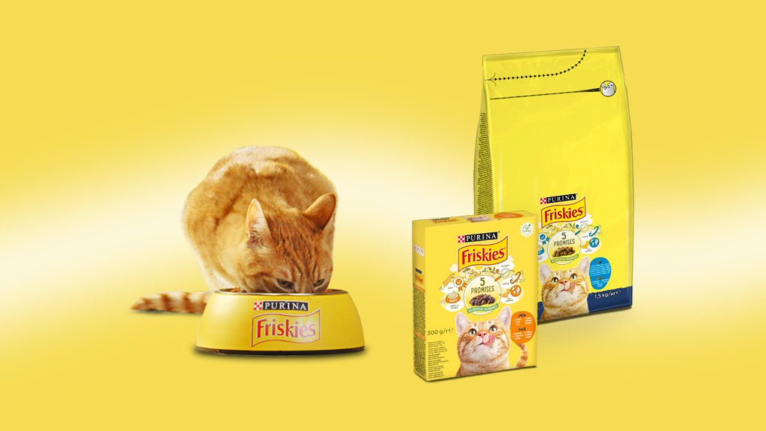 Рудий кіт їсть корм з миски, поруч з упаковками сухого корму