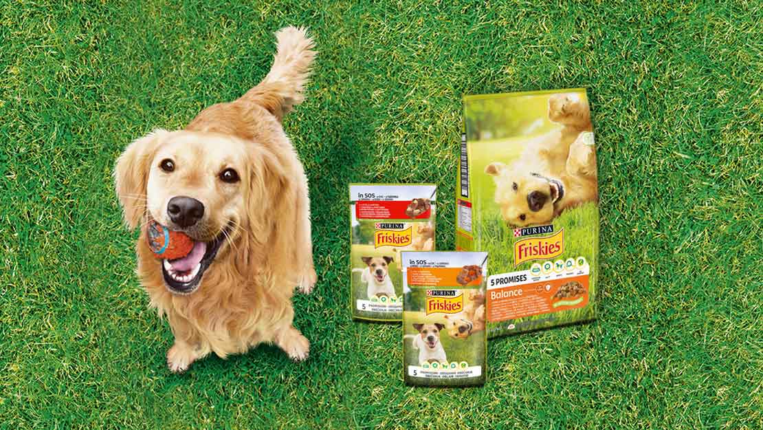 Собака на траві з м’ячем в зубах, поруч упаковки волого та сухого корму​
