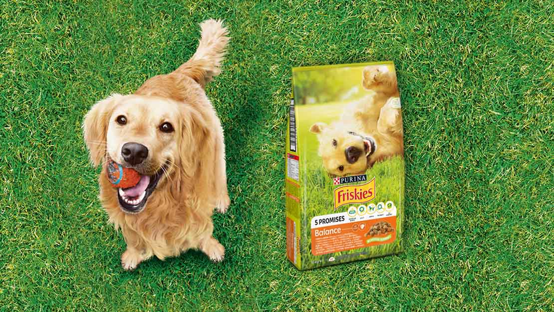 Собака на траві з м’ячем в зубах, поруч упаковка сухого корму