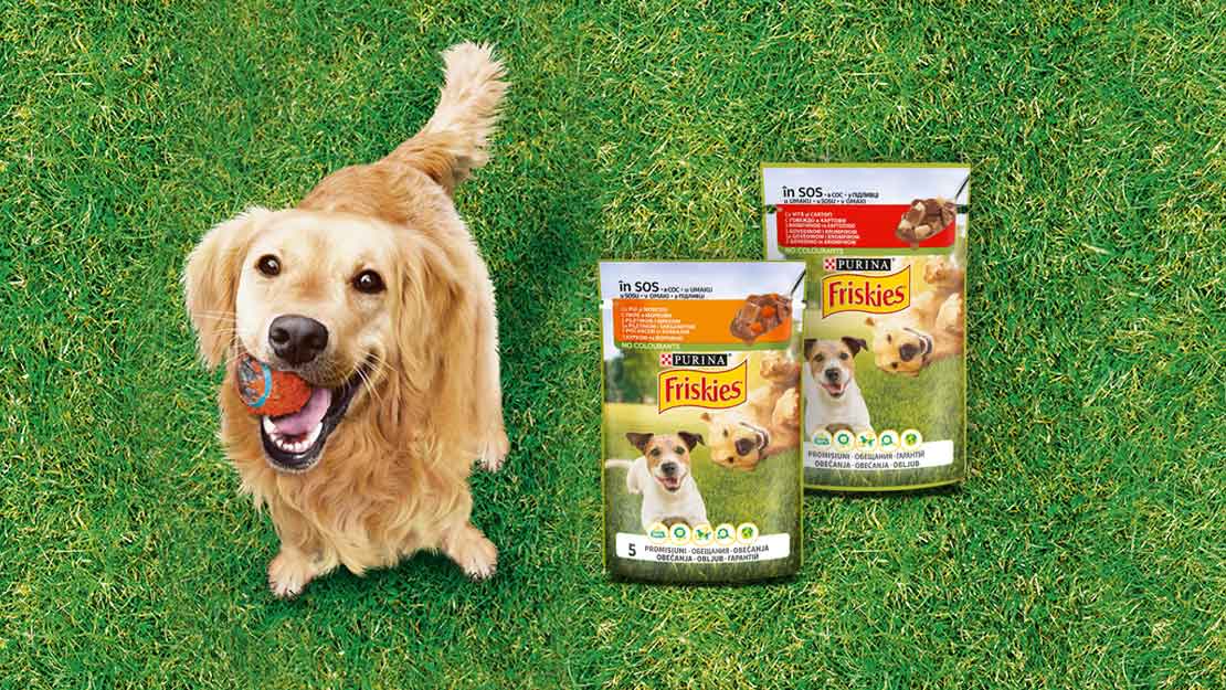 Собака на траві з м’ячем в зубах, поруч упаковки вологого корму