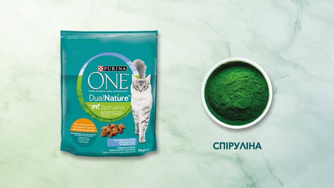 Purina ONE Dual Nature