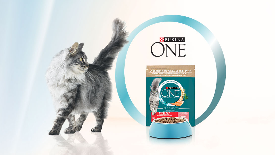Purina ONE Bifensis