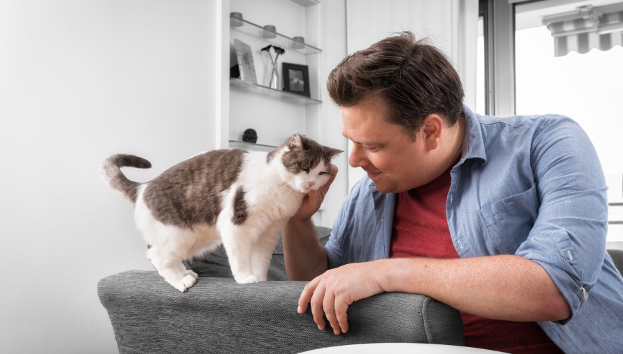 Чоловік гладить морду свого кота, який стоїть на підлокотнику дивана