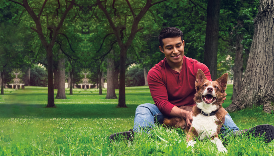 Чоловік сидить на траві з деревами, а його собака лежить перед ним