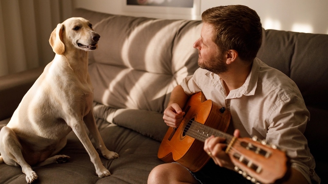 Собака біля чоловіка з гітарою