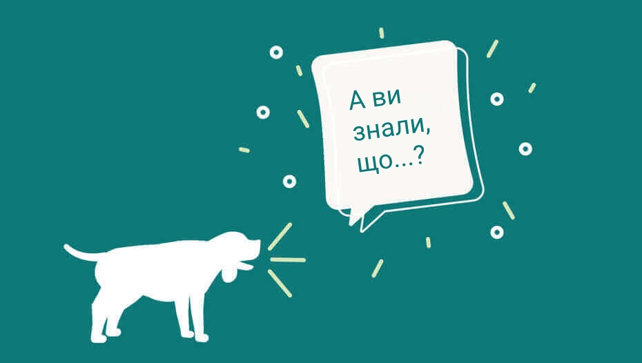 Цікаві факти про собак