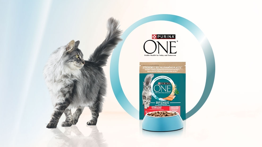 Purina ONE Bifensis