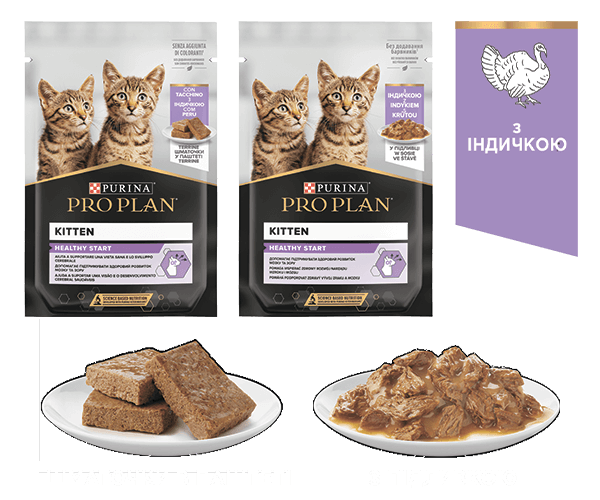 PURINA® PRO PLAN® Kitten HEALTHY START (КІТТЕН Здоровий Старт). Консервований порційний повнораціонний корм для кошенят