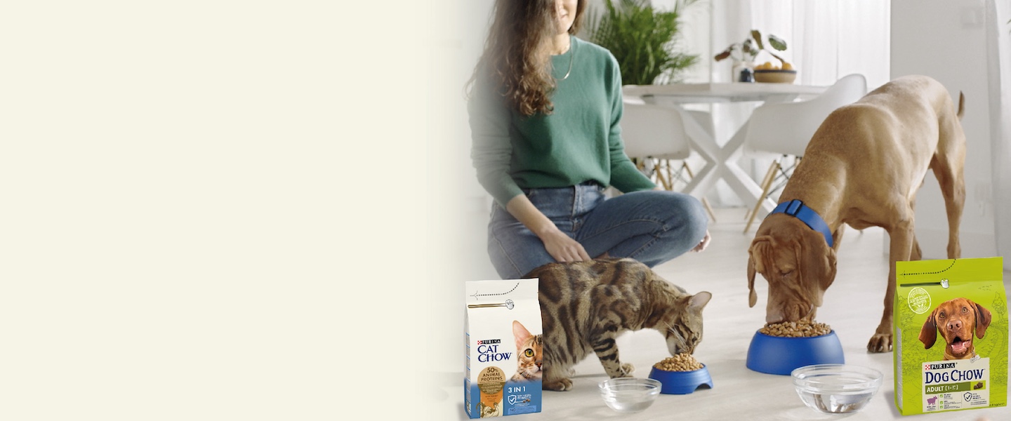 www.purina.ua