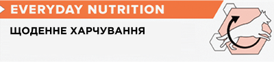Іконка щоденне харчування собак