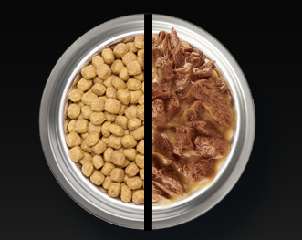 Миска сухового та вологого корму