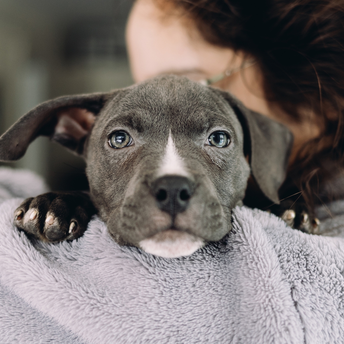 Посака на плечі у власниці