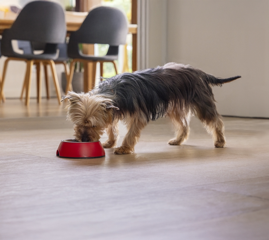 PURINA ONE® MINI/SMALL
