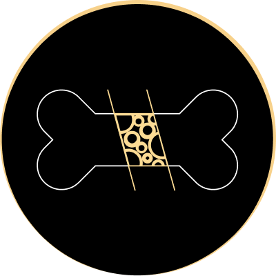 Піктограма кістка