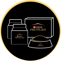 Іконка тестового набору