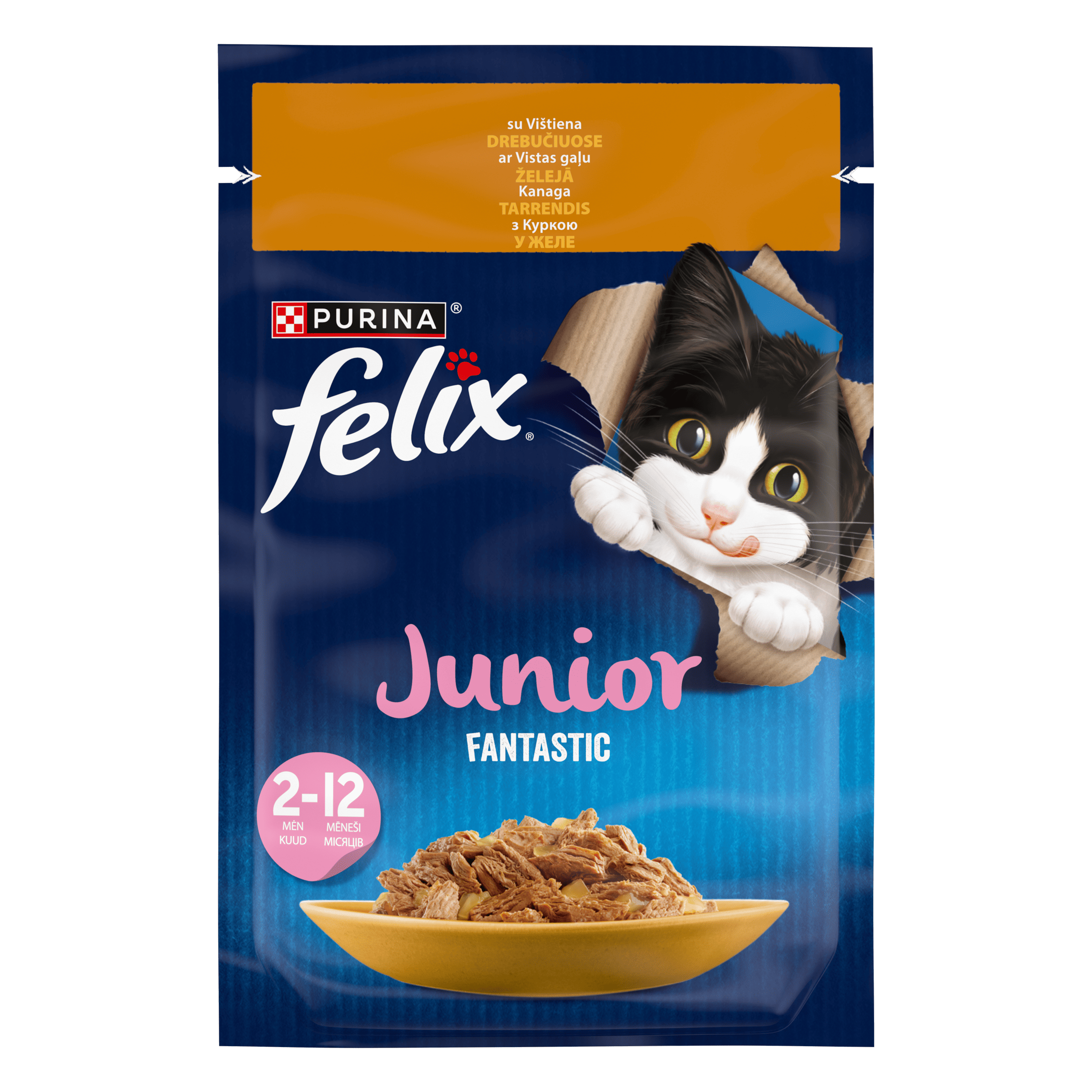 Junkfood5本 FELIX® FANTASTIC JUNIOR з куркою. Шматочки у желе | Purina UA