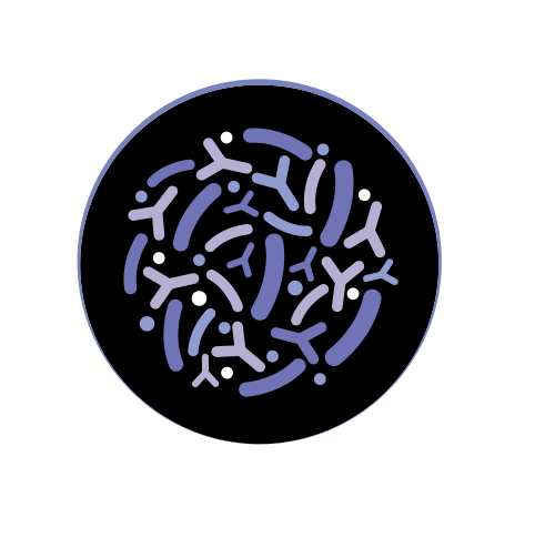 Баланс кишечника