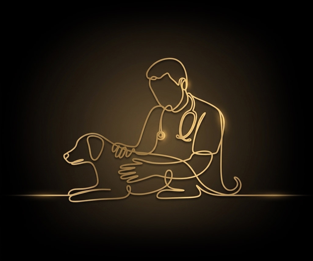 Собака з ветеринаром