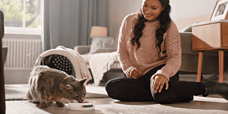 Власниця спостерігає як харчується її кіт