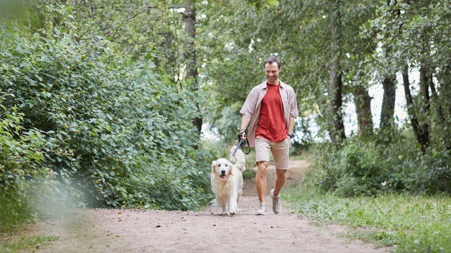 Власник з собакою в парку