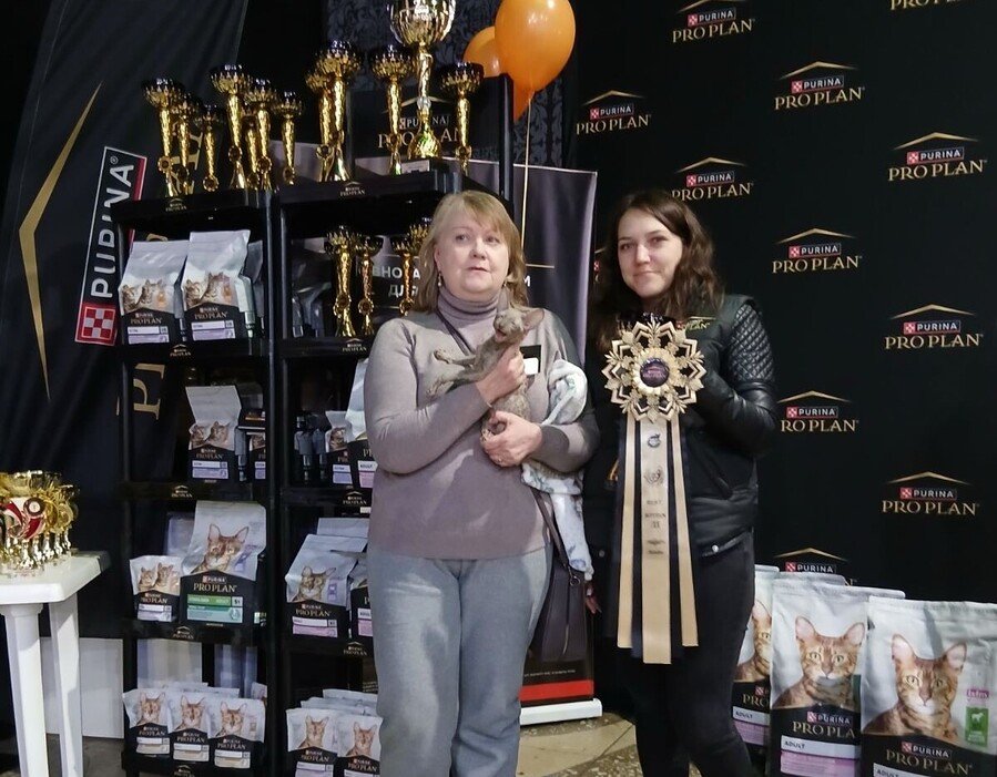 Бренд Pro Plan генеральний спонсор міжнародної виставки котів