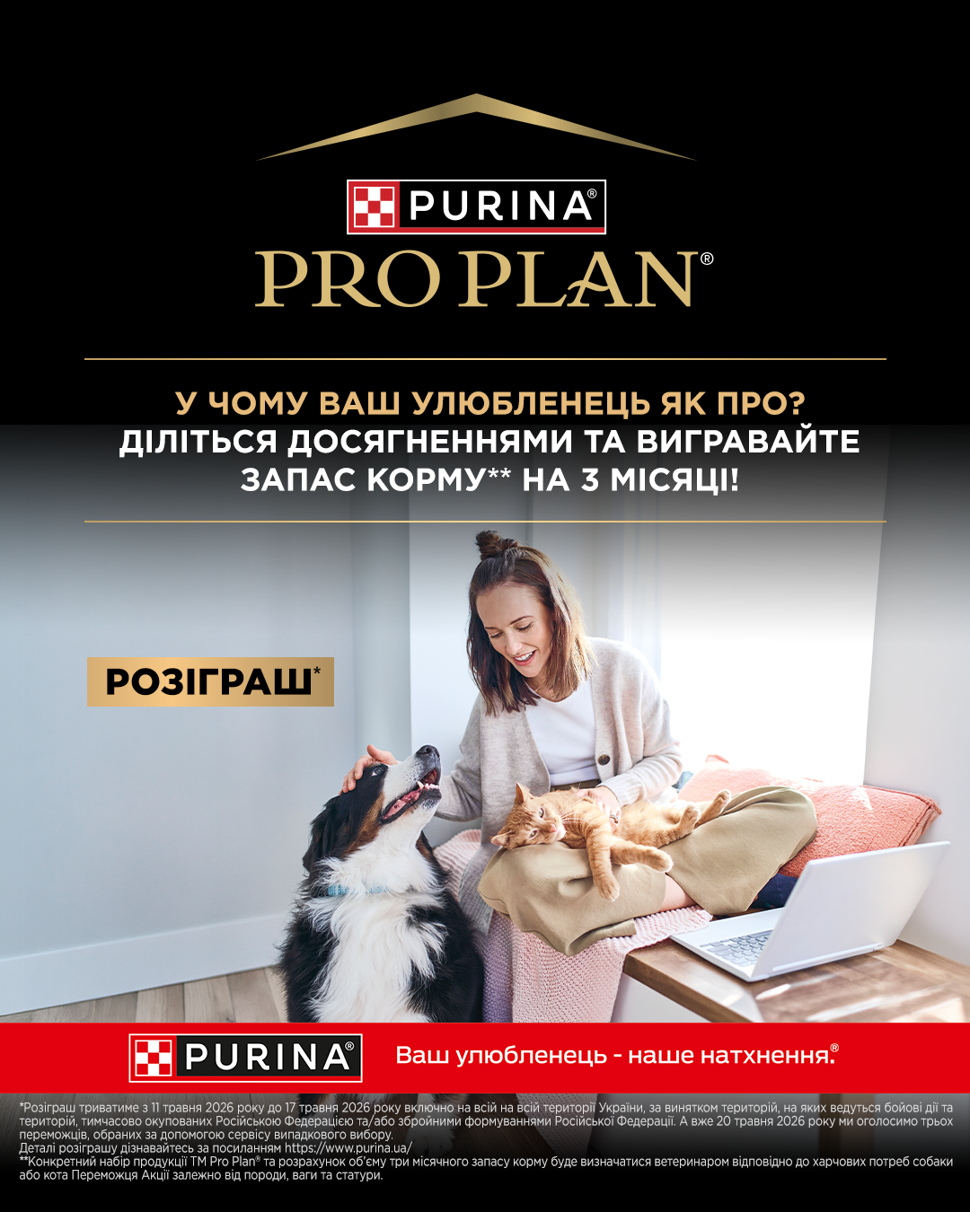 У чому ваш улюбленець як ПРО? 