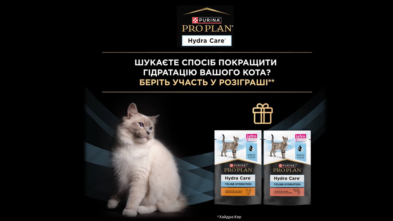 Як покращити гідратацію кота?