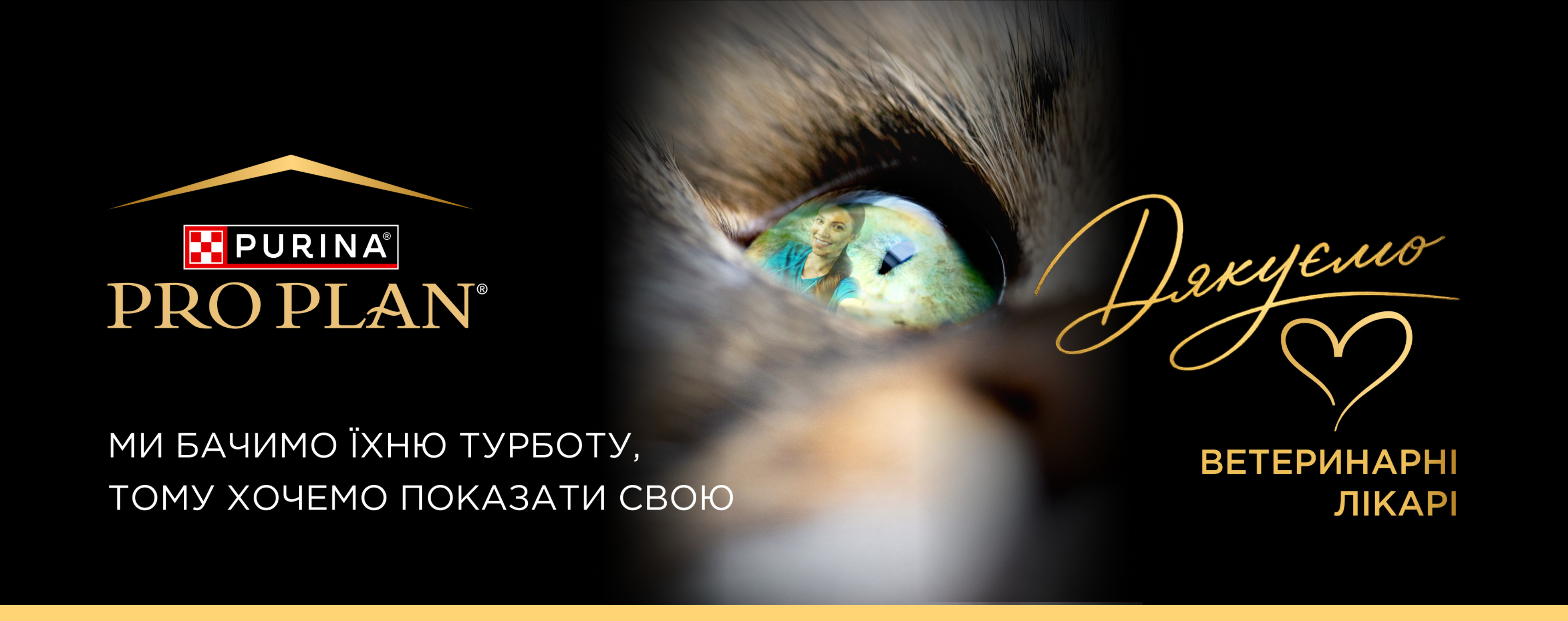 Світ сповнений вдячності ветеринарним лікарям
