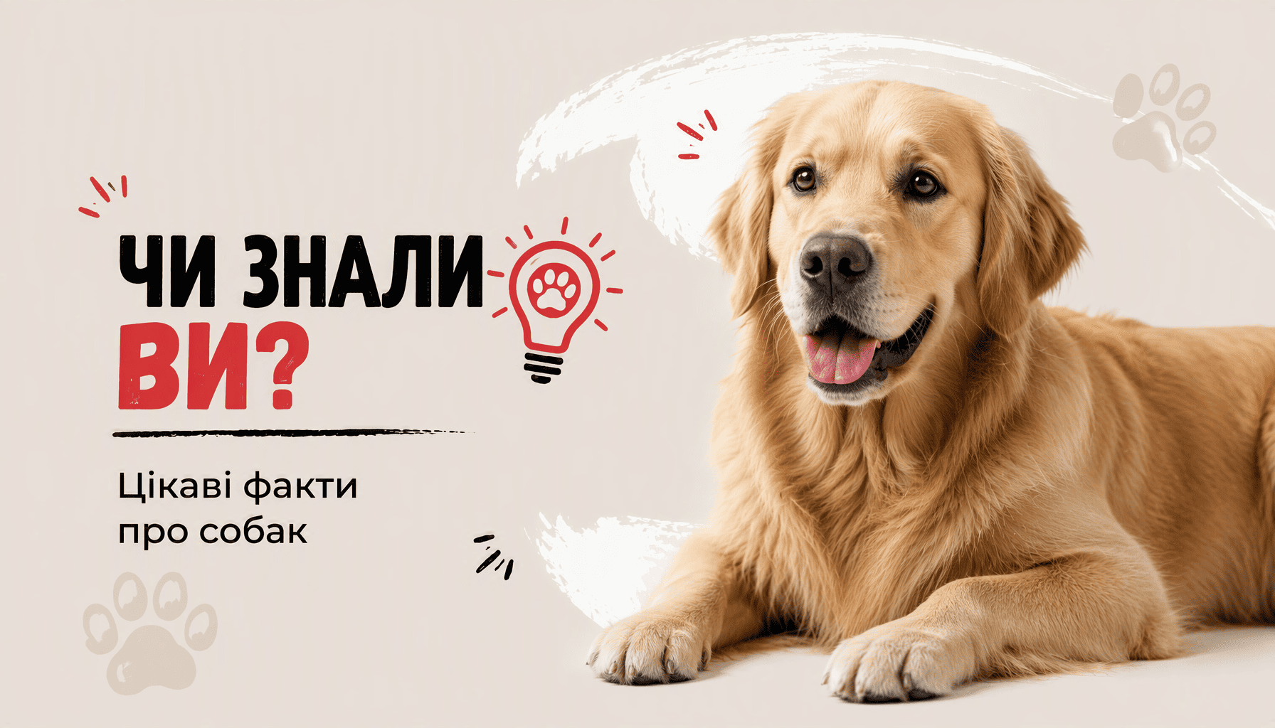 Чи знали ви? фікаві факти про собак