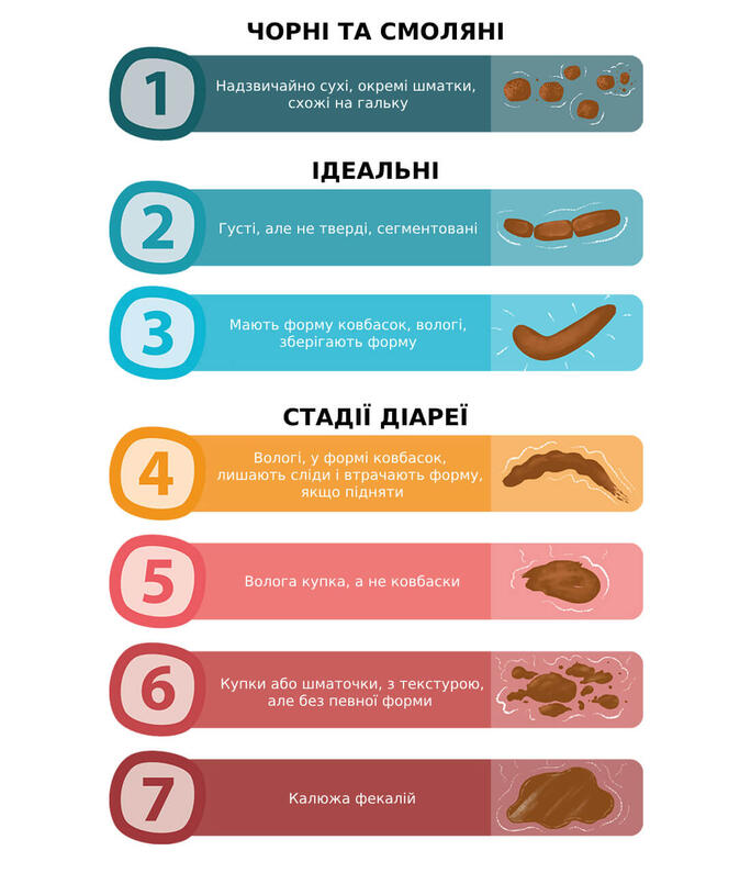 Собачі фекалії