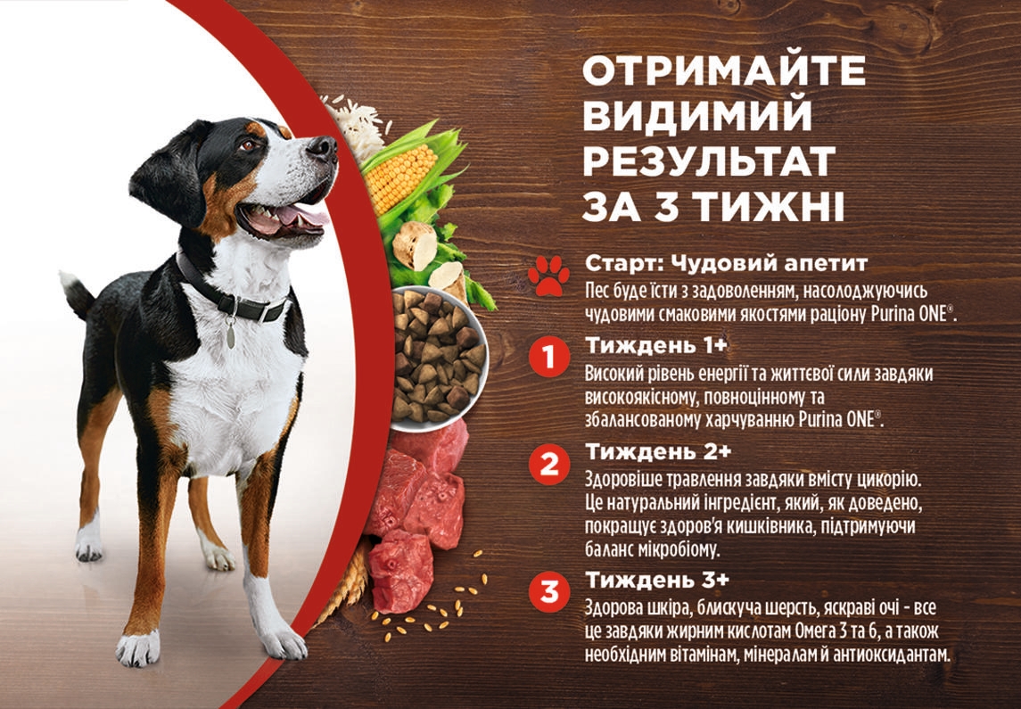 PURINA ONE® MEDIUM/MAXI
