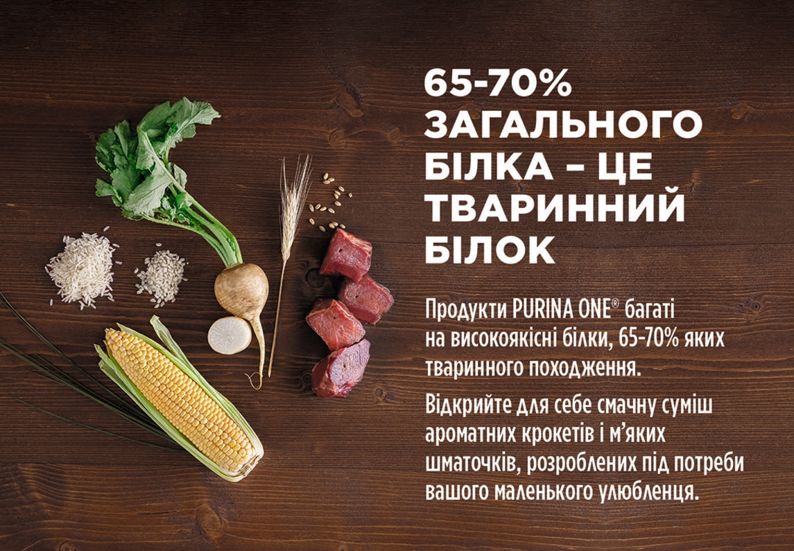 PURINA ONE® MINI/SMALL