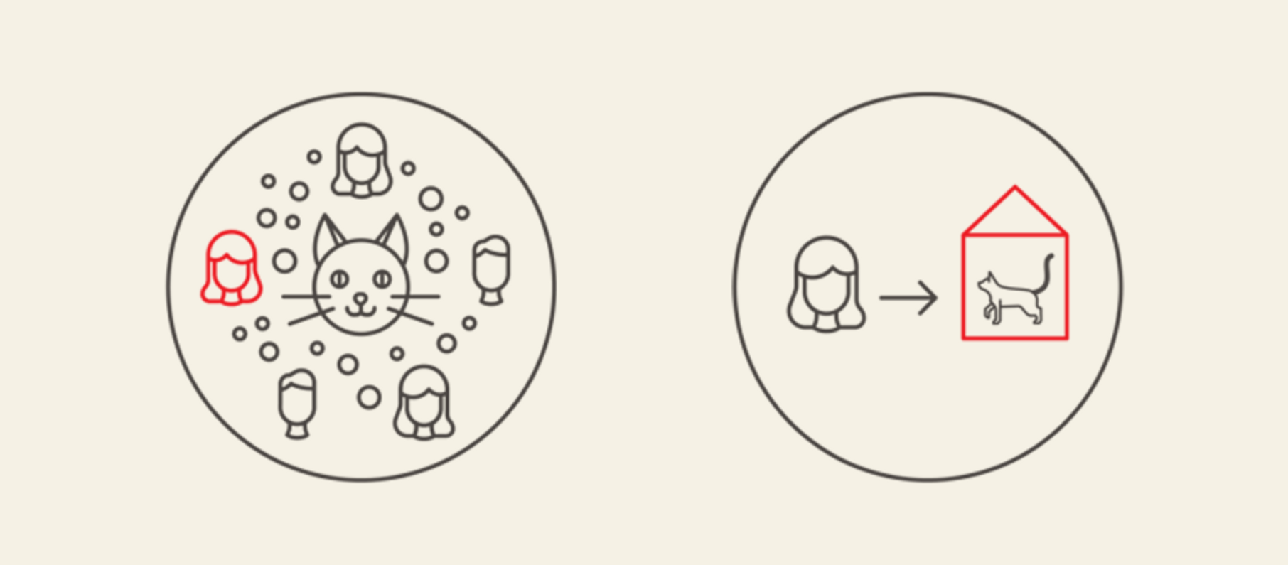 Ілюстрація оточення кота в алергенній середі