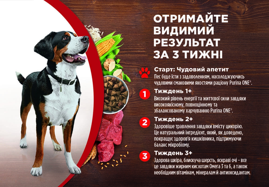 PURINA ONE® MEDIUM/MAXI