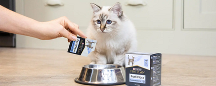 Кіт і Purina Pro Plan FortiFlora 
