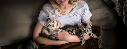 Два кошеня сидять на руках у дівчини