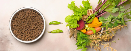 Миска корму для тварин та овочі