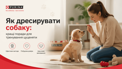 Як дресирувати цуценя