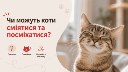 Чи можуть коти сміятися та посміхатися?