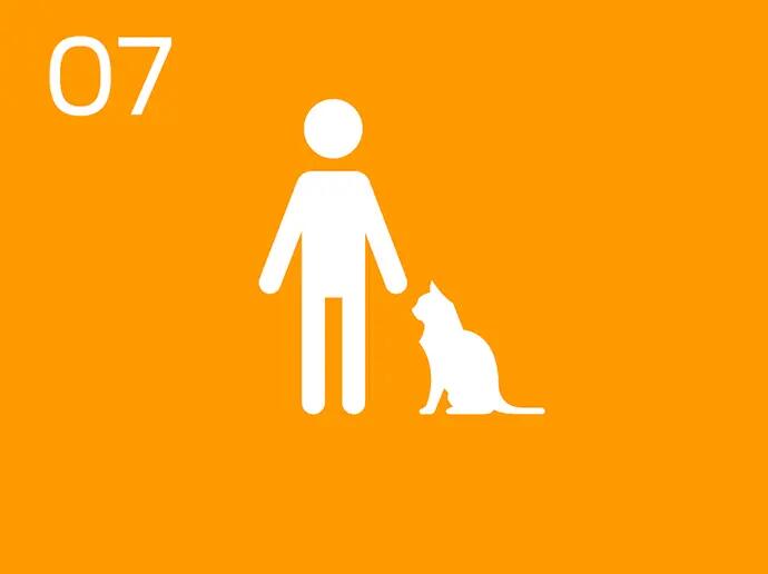 Інфографіки дівчина з котом