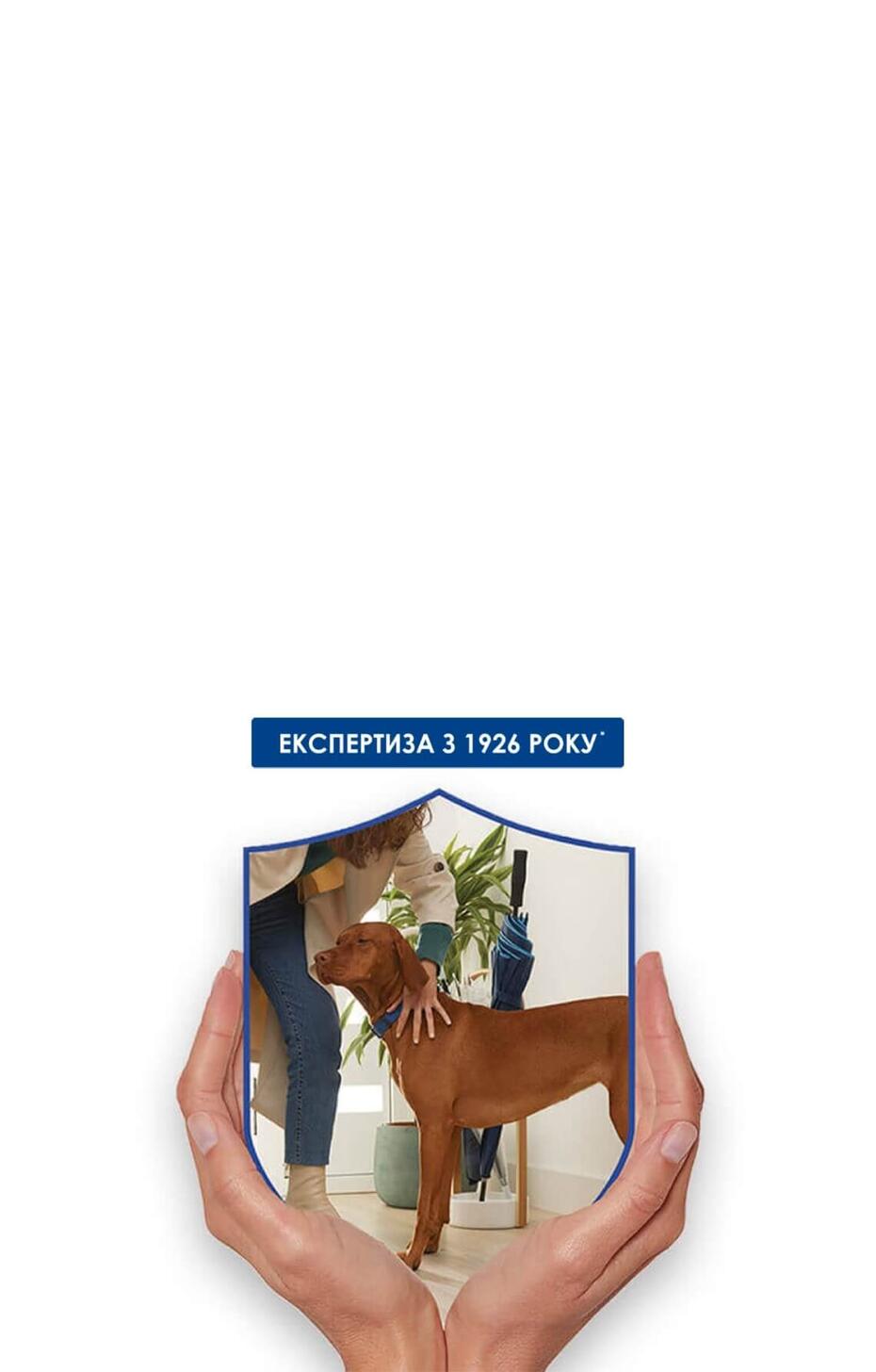 Dog Chow