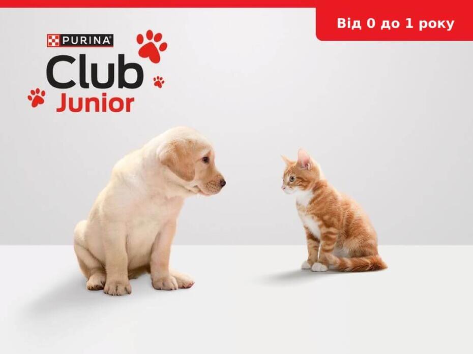 Лого Purina Club Junior цуценя дивиться на кошеня