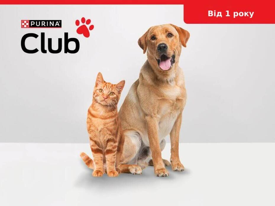 Лого Purina Club рудий кіт та собака сидять поруч