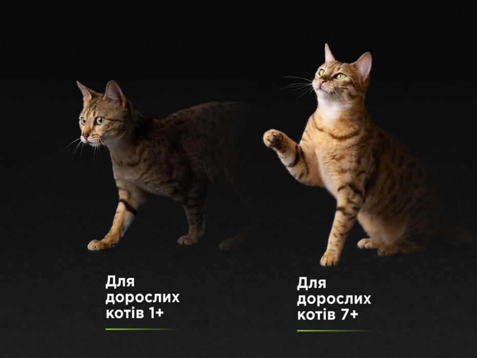PURINA® PRO PLAN® для дорослих стерилізованих котів