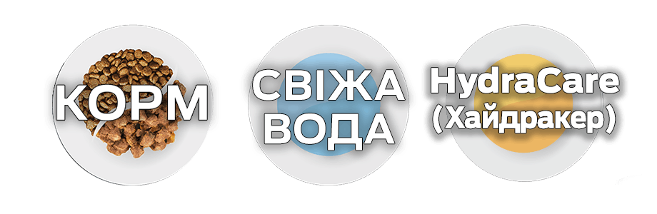Третя миска