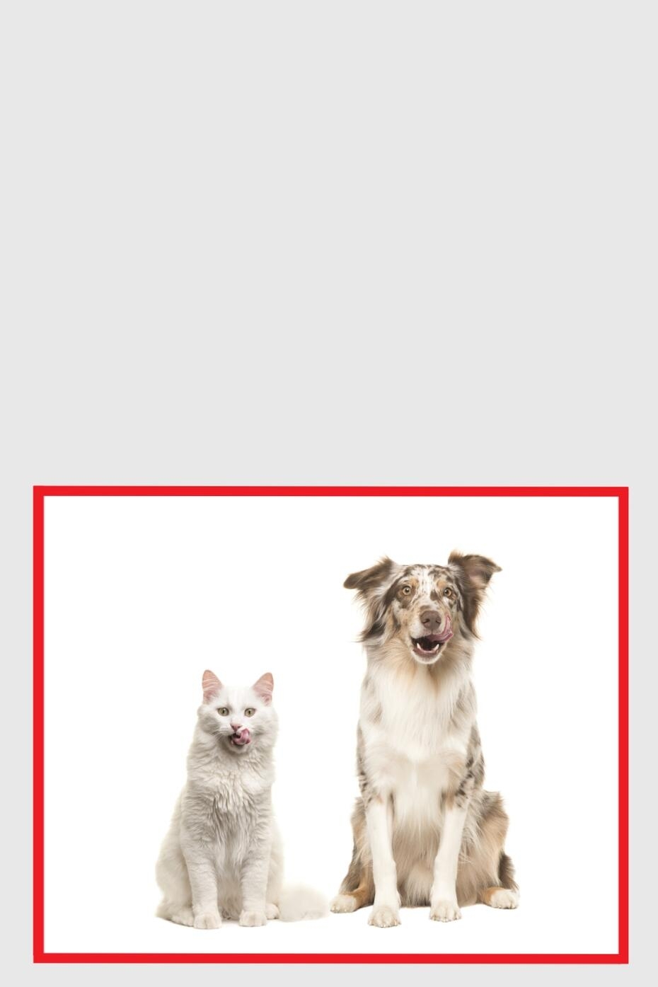 акції від Purina
